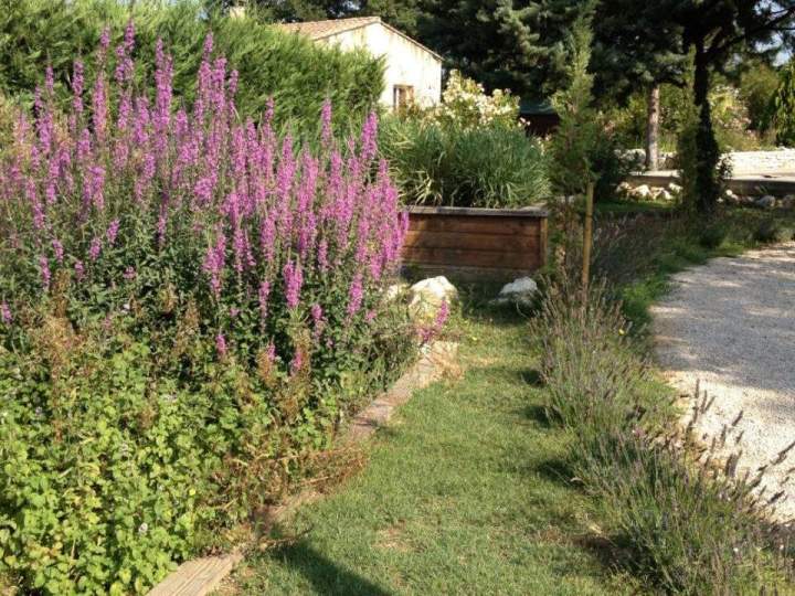 Système de phytoépuration Lot-et-Garonne