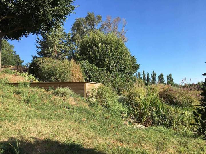 Phytoépuration Lot-et-Garonne